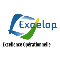 L'excellence opérationnelle Logo